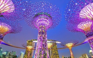 Chính sách bảo vệ phụ nữ của Singapore: Cơ chế 3 bên trong lao động