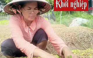 Người phụ nữ Khmer truyền cảm hứng cho mô hình trồng rau an toàn 