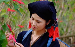 Chói ngời sắc đỏ hoa Trạng nguyên ở Vườn Quốc gia Xuân Sơn