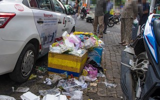 Túi nilon nơi công cộng khiến TPHCM xanh mà không sạch