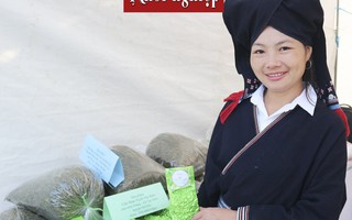 Cô gái người Dao giữ hương chè shan tuyết trên núi Biều 
