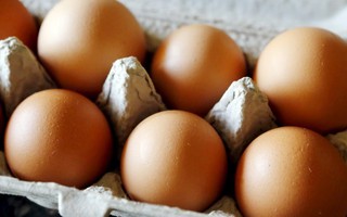 Australia tiếp tục thu hồi trứng gà do lo ngại nhiễm khuẩn salmonella