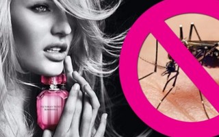 Nước hoa Victoria’s Secret có thể ‘đuổi’ muỗi 