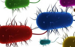 Chuyên gia Mỹ: Phòng tránh bệnh vi khuẩn ăn mòn cơ thể không quá khó 