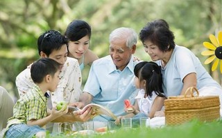 Nhận diện những khó khăn và thách thức của gia đình Việt Nam