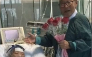 Tình yêu thuần khiết tuổi 81 của cụ ông tặng người vợ hôn mê