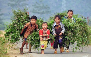 6 triệu người Việt Nam đã thoát nghèo bền vững