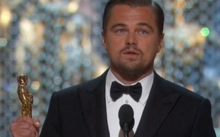 Dân mạng chúc mừng 'Leo' có giải Oscar