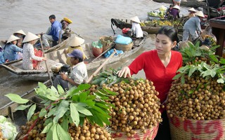 Kịp thời bổ sung nguồn lực cho phát triển vùng Đồng bằng sông Cửu Long 