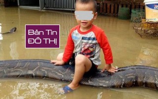 Bé trai 3 tuổi cưỡi trăn giữa lũ ở Việt Nam gây "bão" trên báo Anh