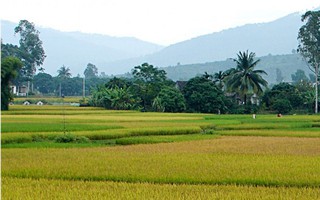 Bi hài chuyện tìm người phát biểu trong lễ khánh thành cổng đình mới