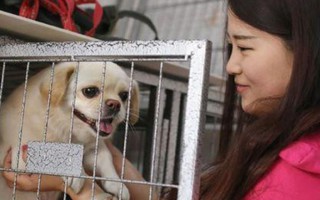 Trung Quốc: Kiếm tỉ đô từ chăm sóc thú cưng 