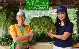 Thăm trang trại rau rừng hữu cơ ở ngoại thành Hà Nội 