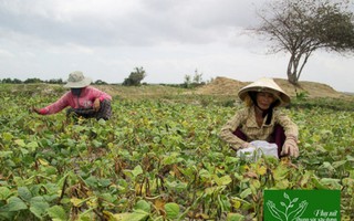 Phụ nữ Phước Nam xây dựng gia đình hạnh phúc để tiến tới nông thôn mới