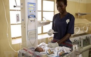 Báo động tình trạng trẻ sơ sinh bị nhẹ cân trên thế giới