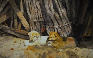 Những chú chó trong tranh các họa sĩ Việt