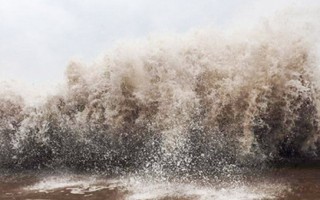 Bão số 12 có thể khiến sóng biển ven bờ cao 4m 