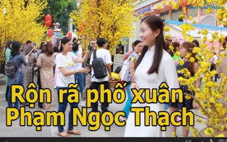 Người dân TPHCM nườm nượp chụp ảnh tại phố xuân Phạm Ngọc Thạch