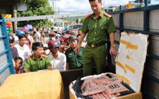 Quảng Trị: Thu giữ 630 kg sụn gân gà không rõ nguồn gốc