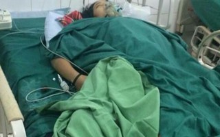 Vụ 4 người ngộ độc vì ăn nấm ở Hà Giang: Thêm một người tử vong