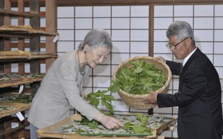 Nhà vua và Hoàng hậu Nhật Bản trồng lúa nuôi tằm