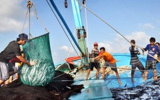 'Tiền bồi thường cần dùng cho phát triển lâu dài'