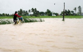 Đã có hơn 170 người tử vong do thiên tai năm 2016 tại Việt Nam