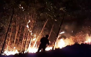 Quảng Nam: Hàng trăm người nỗ lực dập cháy rừng xuyên đêm 
