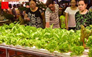 Dân Sài Gòn đi mua nông sản 'độc lạ'