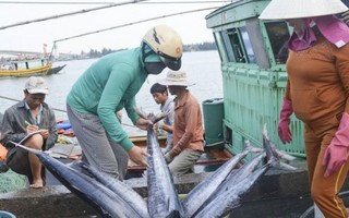 139 mẫu hải sản, nước, rau 4 miền tỉnh Trung an toàn