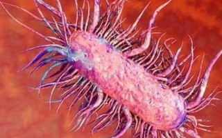 Căn bệnh do vi khuẩn ăn mòn cơ thể có những dấu hiệu gì, nguy hiểm ra sao? 