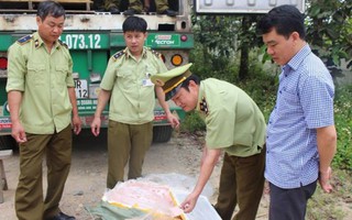 Hà Tĩnh: Thu giữ 5 tấn nầm lợn thối trên đường vào Nam tiêu thụ