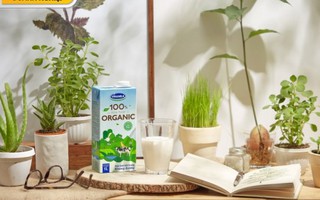 Sữa tươi 100% organic giàu các dưỡng chất tự nhiên, tốt cho sức khỏe