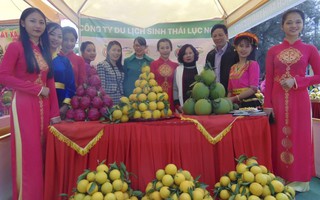 180 gian hàng góp mặt trong ngày Hội cam, bưởi huyện Lục Ngạn