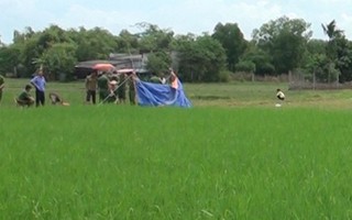 Long An: Hai trẻ tử vong trong ruộng lúa
