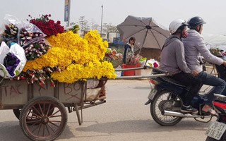 Thủ phủ hoa tươi lớn nhất Hà Nội hối hả vào vụ Tết 