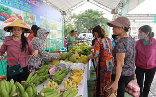 Hội chợ thực phẩm sạch thu hút người nội trợ Thủ đô 
