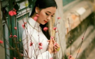 Top 10 Miss Photo 2017 Thạch Thảo tinh khôi bên hoa đào
