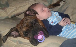 Bật cười xem hình ảnh ngủ gục dễ thương của các bé