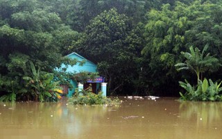Thanh Hóa: Hoàn lưu bão số 4 gây nhiều thiệt hại, 1 người chết