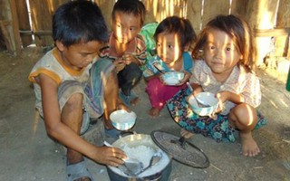 Chương trình hành động Quốc gia 'Không còn nạn đói' ở Việt Nam