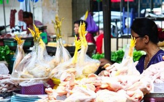 Chợ thực phẩm Hà Nội ngán ngẩm vì ế hàng