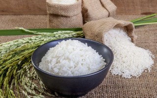 Hy vọng từ gạo ‘sạch’