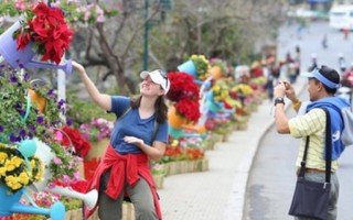 Đà Lạt rực rỡ sắc màu Festival Hoa 2017