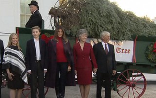 Bà Melania Trump và con trai nhận cây thông Noel vào Nhà Trắng