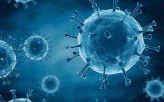 Chủng virus HIV mới phát hiện có đáng sợ?