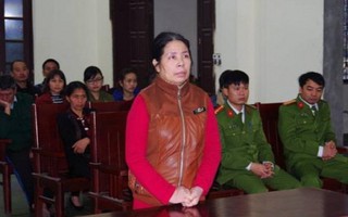 Phạt tù nữ giúp việc bạo hành cháu bé 2 tháng tuổi ở Hà Nam