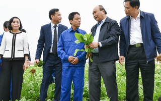 Thủ tướng Chính phủ thăm Công ty thực phẩm xuất khẩu Đồng Giao