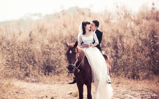 Phong cách ảnh cưới với ngựa