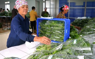 Đà Nẵng kết nối cung ứng thực phẩm an toàn với các tỉnh, thành phố